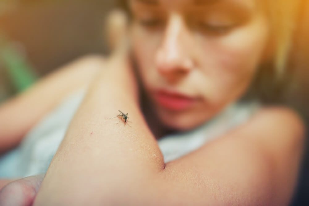 PCR dengue